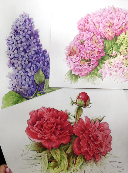 [Евгения Щеглова] Цветы цветными карандашами (2023_0.png